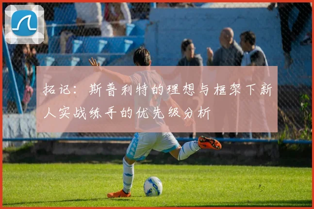 拓记：斯普利特的理想与框架下新人实战练手的优先级分析