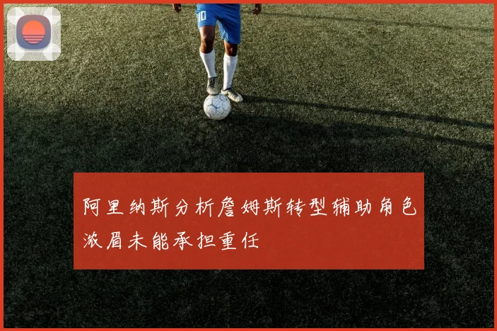 阿里纳斯分析詹姆斯转型辅助角色浓眉未能承担重任